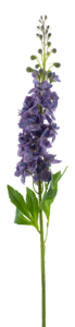 Nova Nature Delphinium spray Roland purple 87cm