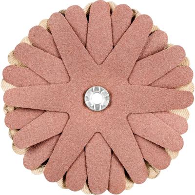 PFERD TOOLS 42732148 Schuursterren Diameter 90 mm 10 stuk(s)
