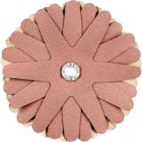 PFERD TOOLS 42732148 Schuursterren Diameter 90 mm 10 stuk(s)