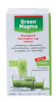 Green Magma Shakersticks 30st