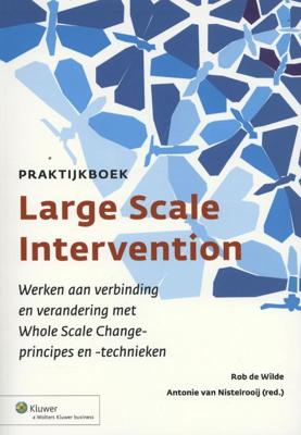 Praktijkboek large scale intervention (Paperback)