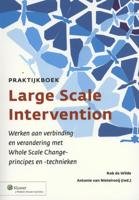Praktijkboek large scale intervention (Paperback)