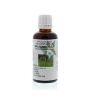 Epilobium angustifolium / wilgenroosje tinctuur