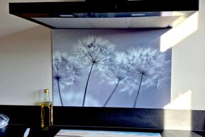 Spatscherm Keuken 75x75 cm