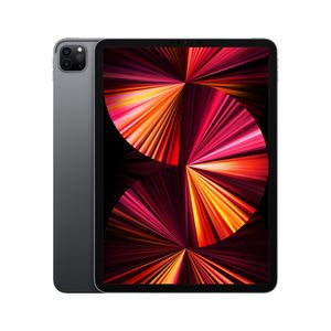 Apple iPad Pro 256 GB 27,9 cm (11") Apple M 8 GB Wi-Fi 6 (802.11ax) iPadOS 14 Grijs