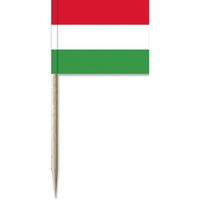 150x Vlaggetjes prikkers Hongarije 8 cm hout/papier - Cocktailprikkers - thumbnail