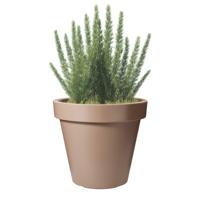 Pro Garden Bloempot - mokka bruin - rond - D20 cm - kunststof - plantenpot - tuin buiten