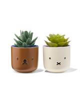 HEMA Nijntje bloempotjes - 2 stuks