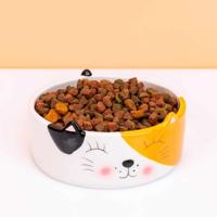 Kat voerbak met kattengezicht