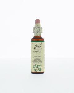 Bach Walnut/walnoot