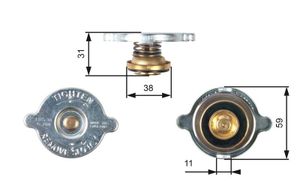 Radiateurdop RC110