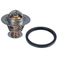 Thermostaat 23981