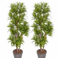 Kunstplant Groene Dracaena reflexa - 2x - H120 cm - voor binnen - nepplant - binnenplant