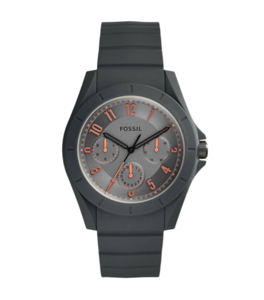 Horlogeband (Band + Kastcombinatie) Fossil FS5221 Onderliggend Silicoon Grijs 21mm