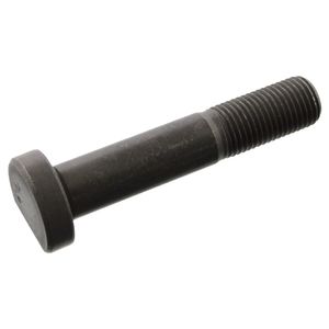 Wielbout 102308