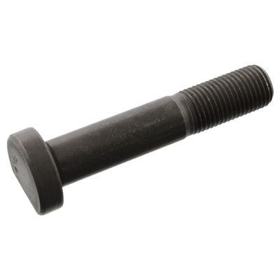 Wielbout 102308