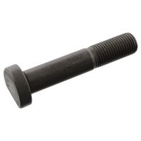 Wielbout 102308