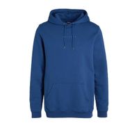 Raizzed hoodie Newton blauw - thumbnail