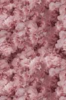 Moooi Carpets - Laagpolig Vloerkleed Hortensia Pink Wool -