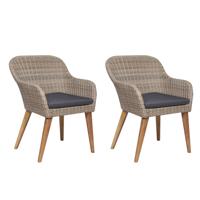 Tuinstoelen 2 st met kussens poly rattan bruin