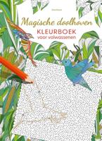 Magische doolhoven kleurboek voor volwassenen (Paperback)