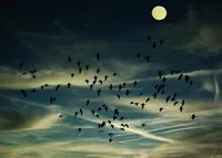 Alexsar Art Tuinschilderij birds swarm 70x50cm