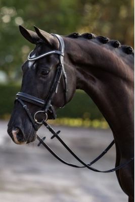 HB Hoofdstel Showtime Stars HB Hoofdstel Showtime Stars