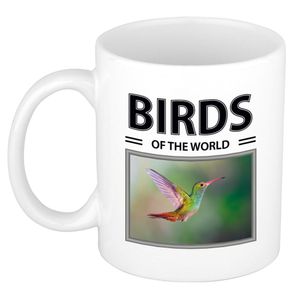 Kolibries mok met dieren foto birds of the world