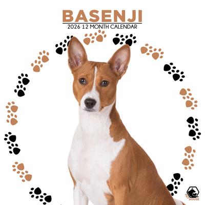 Basenji Kalender 2026