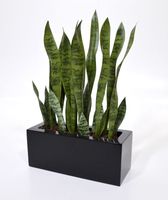Sanseveria kunstplant 60 cm steker - thumbnail
