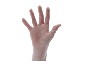 Handschoenen Vinyl Transparant Maat L