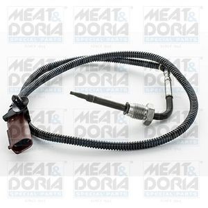 Sensor, uitlaatgastemperatuur 12331