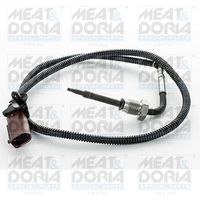 Sensor, uitlaatgastemperatuur 12331