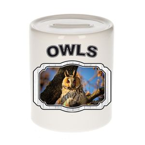 Dieren ransuil spaarpot - owls/ uilen spaarpotten kinderen 9 cm