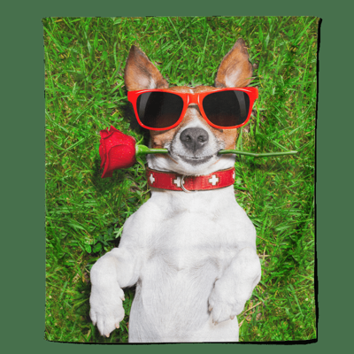 Fleecedeken Valentijn Hond - Pillow Buddies