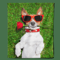 Fleecedeken Valentijn Hond - Pillow Buddies