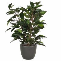 Groene ficus kunstplant 40 cm met plantenpot mat antraciet grijs D13.5 en H12.5 cm