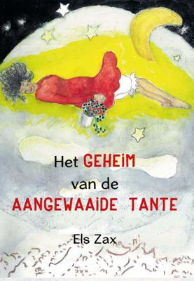 Het geheim van de aangewaaide tante (Paperback)