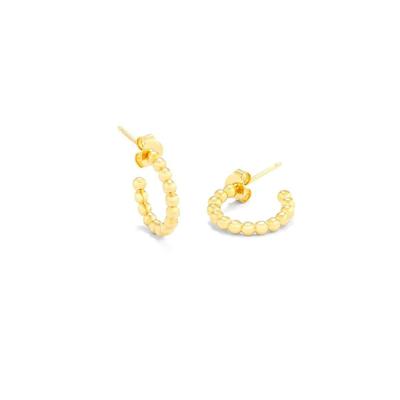 Oorbellen Dames Radiant RY000017 Roestvrij staal 2 cm