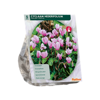 Cyclaam