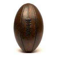 JW & Sons - Retro Rugby Bal '20 - Bruin
