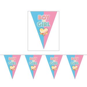 Gender reveal babyshower thema vlaggetjes slinger - 5 meter - puntvlaggetjes