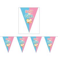 Gender reveal babyshower thema vlaggetjes slinger - 5 meter - puntvlaggetjes