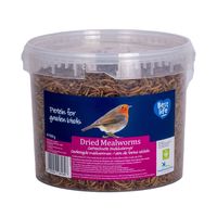 Gedroogde meelwormen 900 g