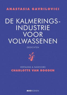 De kalmeringsindustrie voor volwassenen (Hardback)