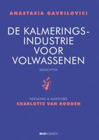 De kalmeringsindustrie voor volwassenen (Hardback)