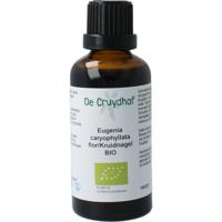 Natura Sanat Kruidnagel tinctuur bio