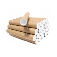 Kartonnen kokers 450 x ø60 mm (a2) | 20 stuks