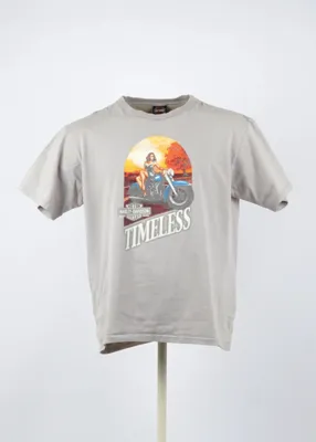 Regular Harley-davidson T-shirt in Gray size XL