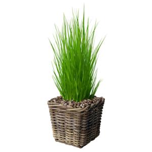 Planten/bloemen mand - vierkant - rotan - gevlochten riet - L27 x B27 x H25 cm - plantenpot